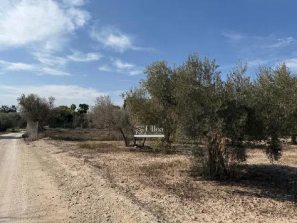 Terreno en via Pista