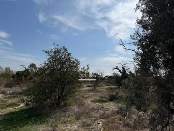 Terreno en via Pista