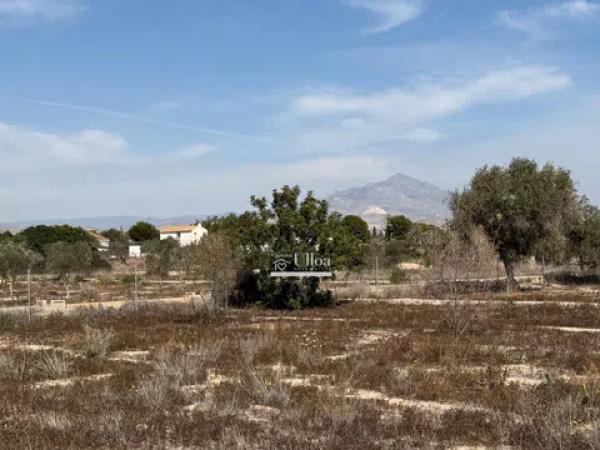 Terreno en via Pista