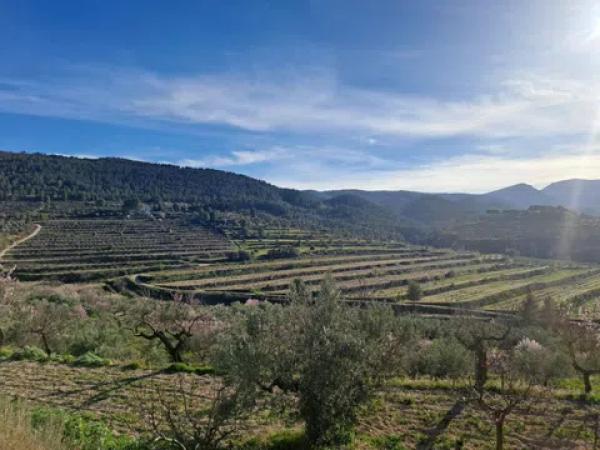 Terreno en Penaguila