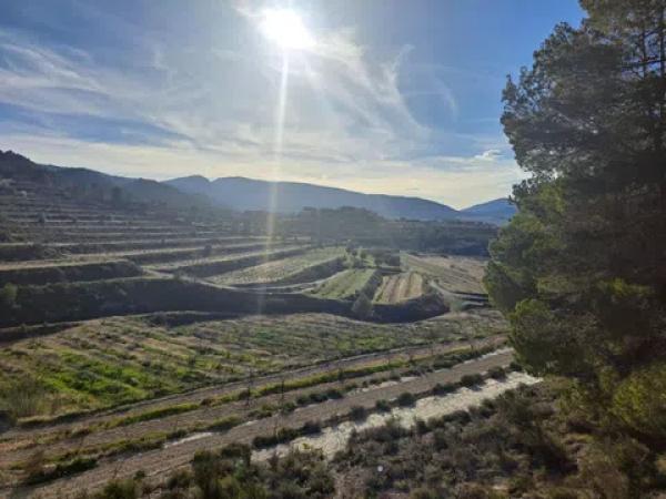 Terreno en Penaguila