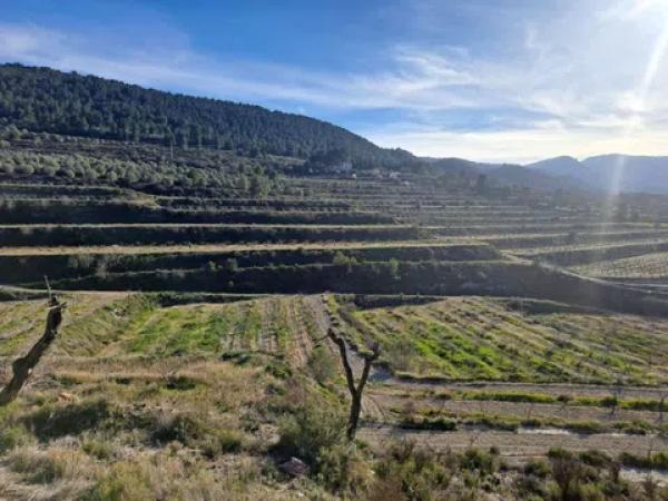 Terreno en Penaguila