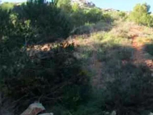 Terreno en Partida Tosal - Zona dels Castellans