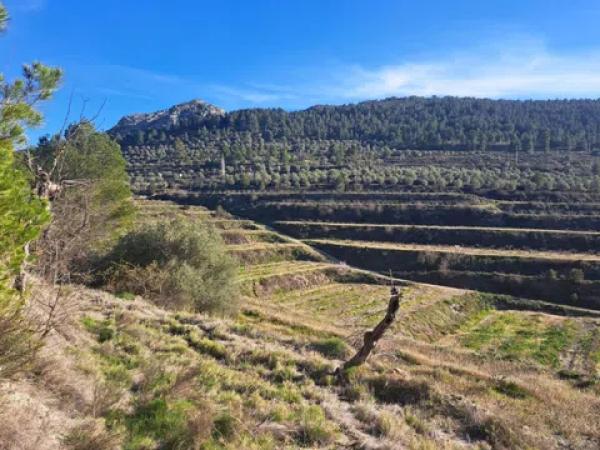 Terreno en Penaguila