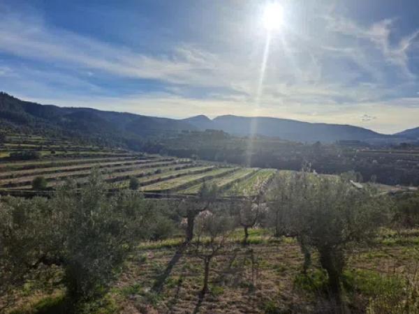 Terreno en Penaguila