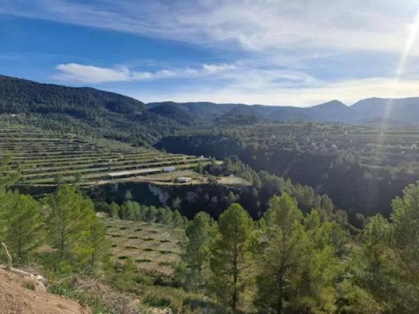 Terreno en Penaguila