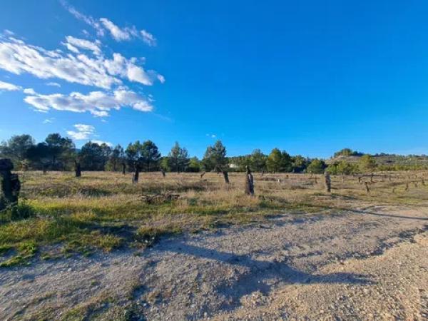Terreno en Penaguila