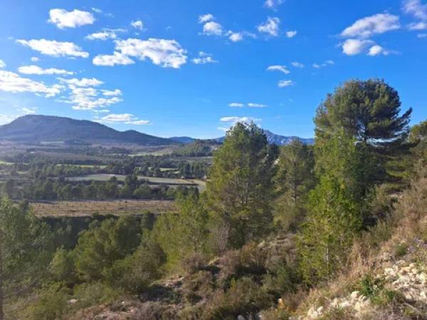 Terreno en Penaguila