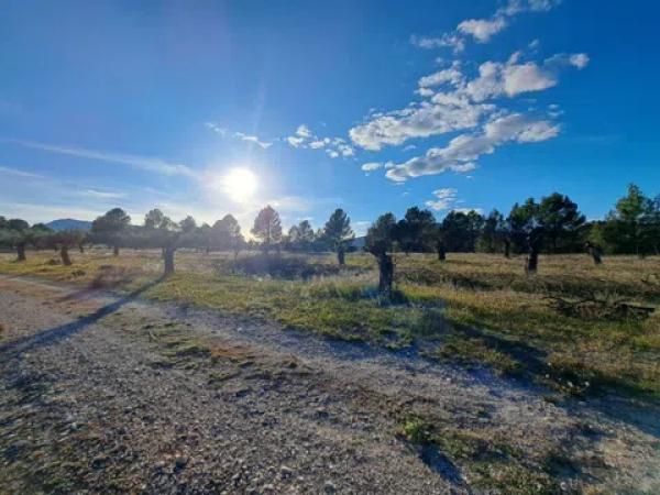 Terreno en Penaguila
