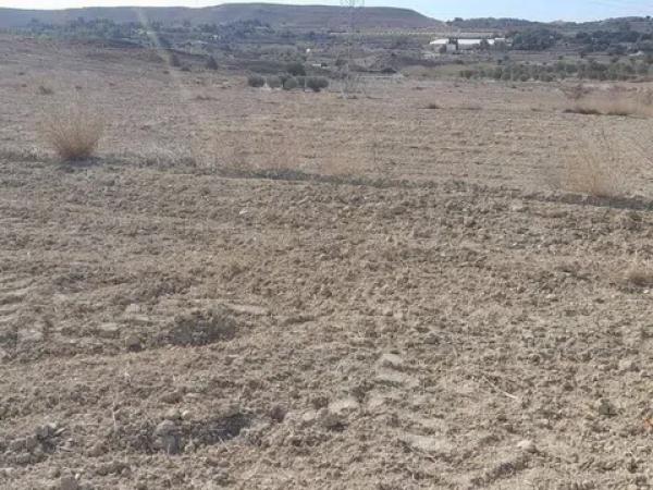 Terreno en Santa Ana s/n