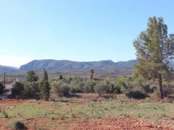 Terreno en Montgó - Ermita