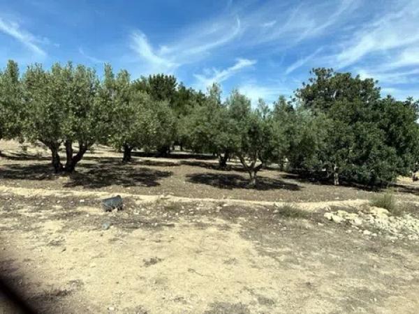 Terreno en calle de la Camamil la