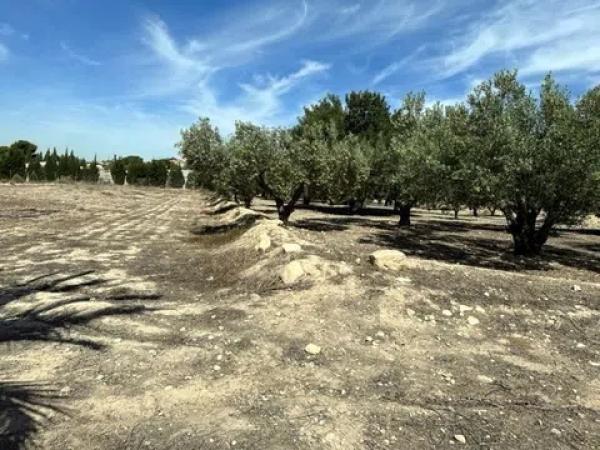 Terreno en calle de la Camamil la