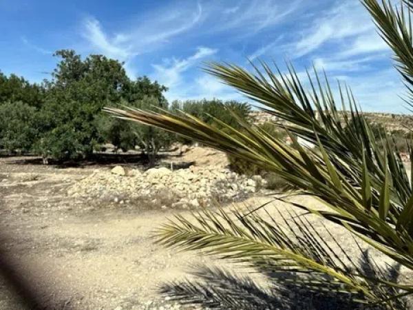 Terreno en calle de la Camamil la