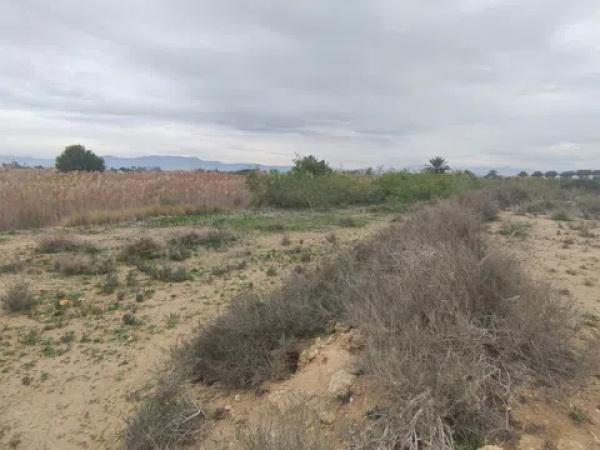 Terreno en Sierra del Molar, 2