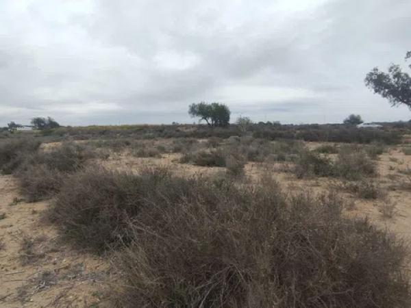 Terreno en Sierra del Molar, 2