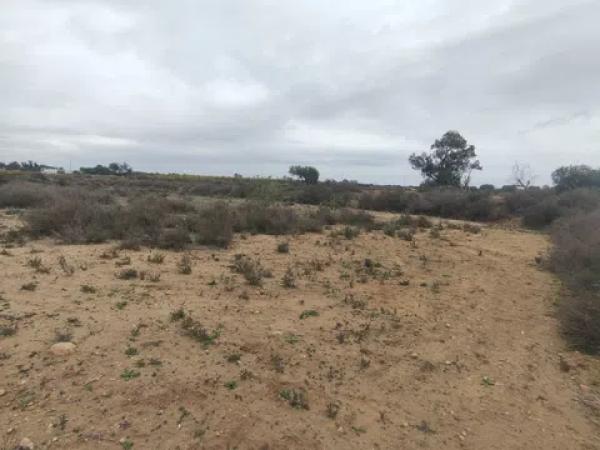 Terreno en Sierra del Molar, 2