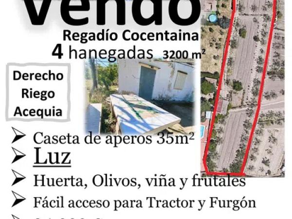 Terreno en Partida Alq Benifloret s/n