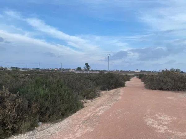 Terreno en camino de Matola