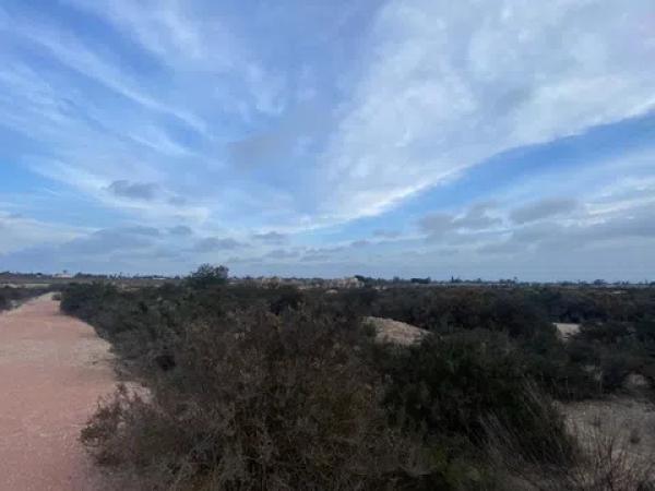 Terreno en camino de Matola