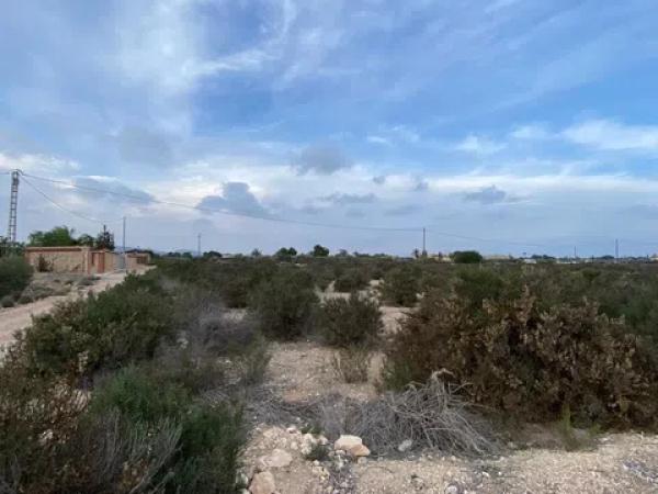 Terreno en camino de Matola