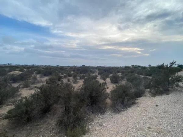 Terreno en camino de Matola