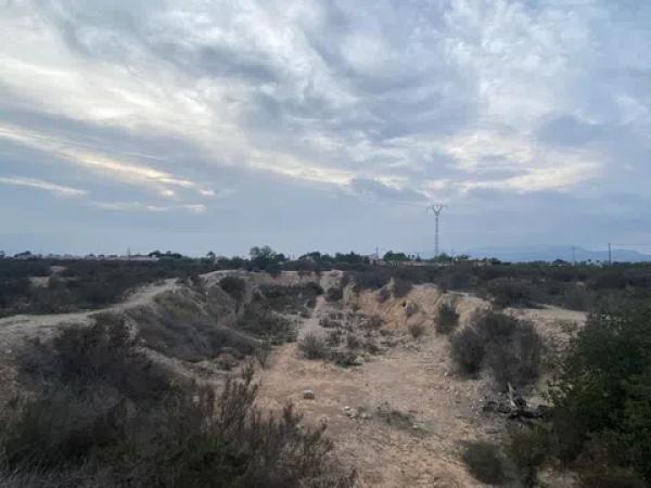 Terreno en camino de Matola