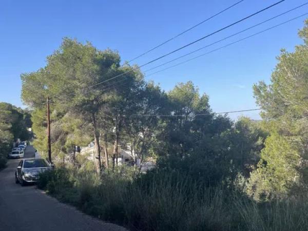 Terreno en calle del Milà