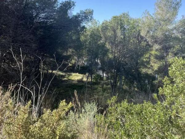 Terreno en calle del Milà