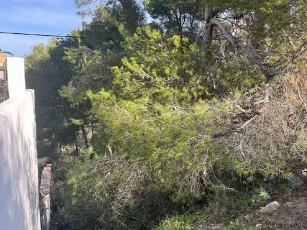 Terreno en calle del Milà