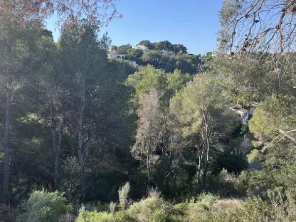 Terreno en calle del Milà