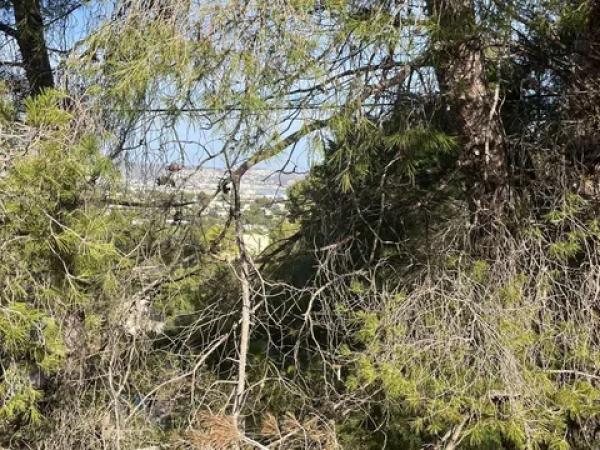 Terreno en calle del Milà