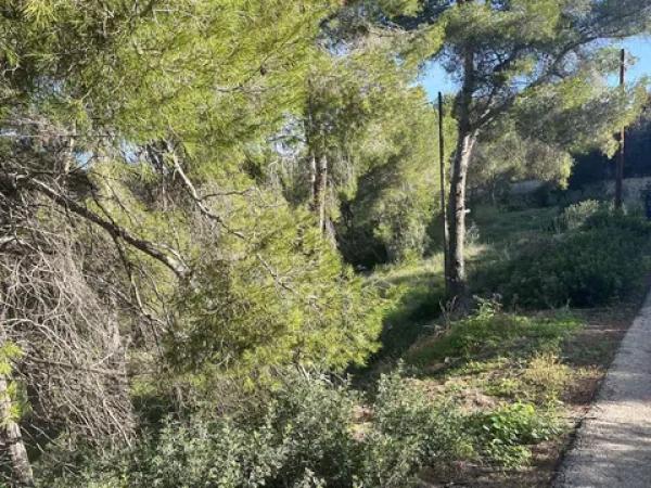 Terreno en calle del Milà