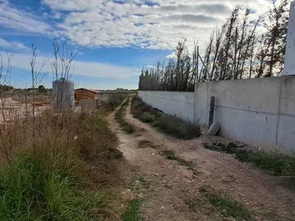 Terreno en camino de la Molineta