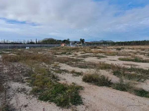 Terreno en camino de la Molineta