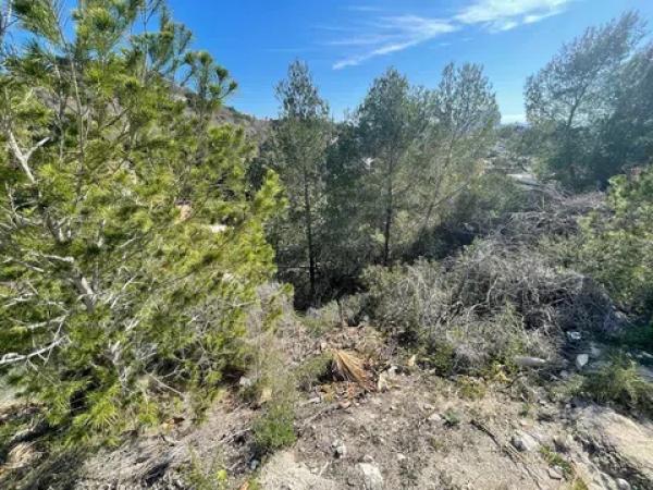 Terreno en Cometa-Carrió