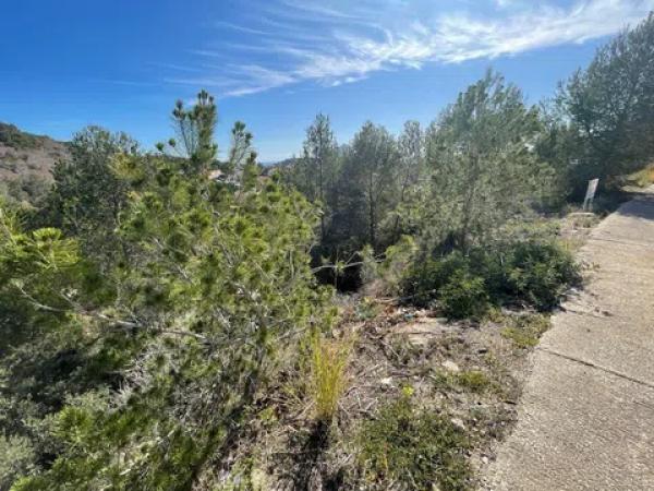 Terreno en Cometa-Carrió