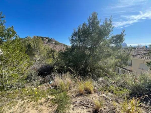 Terreno en Cometa-Carrió