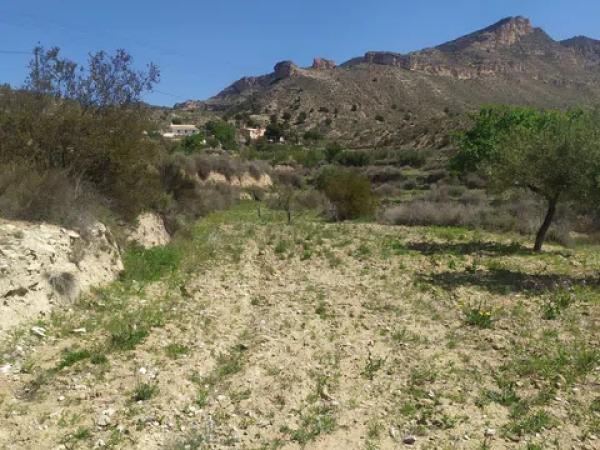 Terreno en Jijona / Xixona