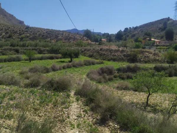 Terreno en Jijona / Xixona