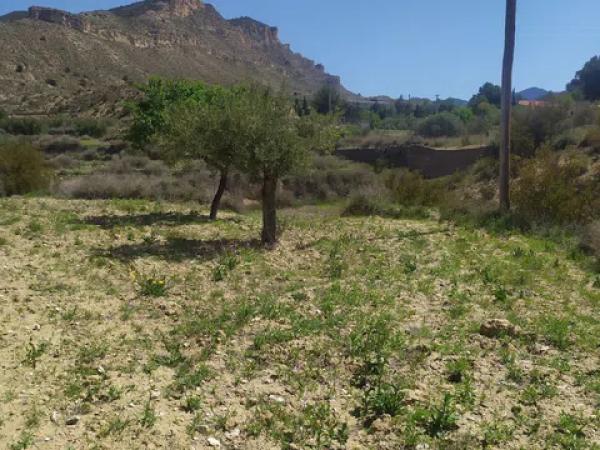 Terreno en Jijona / Xixona