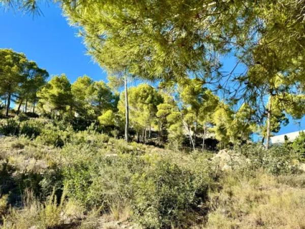 Terreno en Partida Comunes-Adsubia