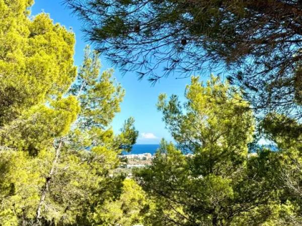 Terreno en Partida Comunes-Adsubia