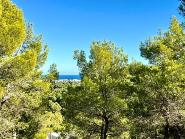 Terreno en Partida Comunes-Adsubia