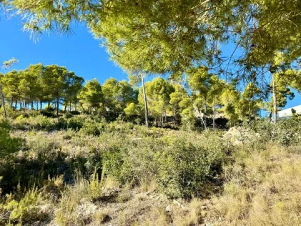 Terreno en Partida Comunes-Adsubia