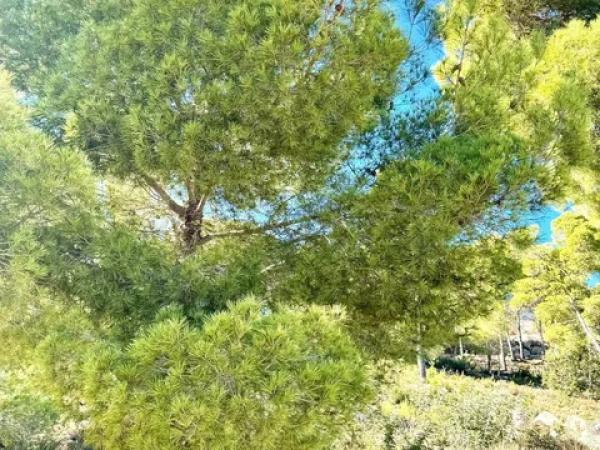 Terreno en Partida Comunes-Adsubia