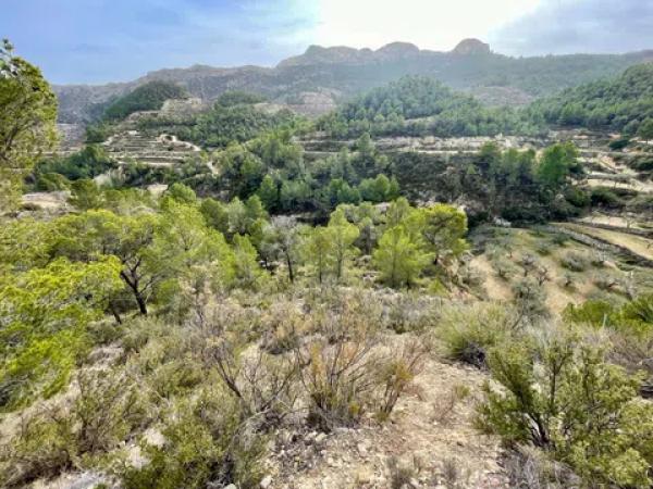 Terreno en Partida Bortolons, 3