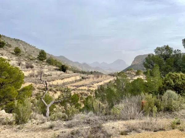 Terreno en Partida Bortolons, 3