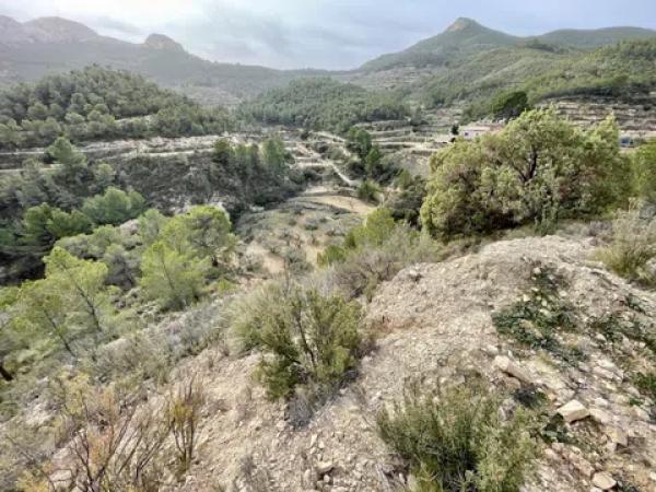 Terreno en Partida Bortolons, 3