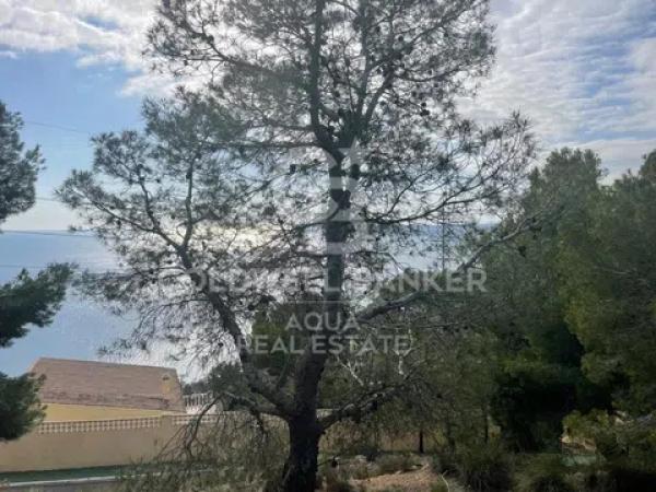 Terreno en calle Italia, 62